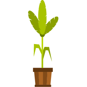 Planta